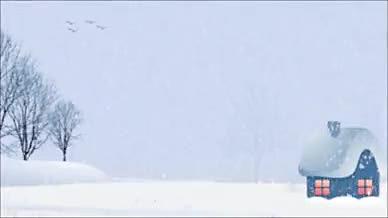 清新唯美场景大雪节气视频的预览图